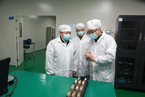 高新區主要領導深入重點項目企業檢查疫情防控工作