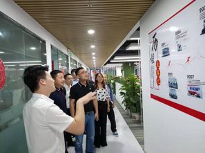 電商賦能新藍海 蘇寧拼購如何助力老年手機企業實現轉型騰飛